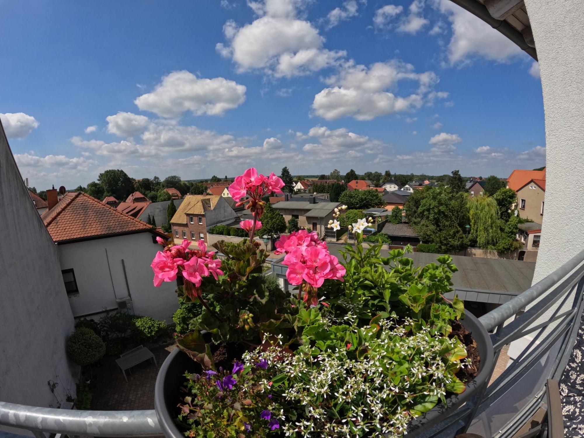 Ferienwohnung Ausblick Bad Düben Exterior foto
